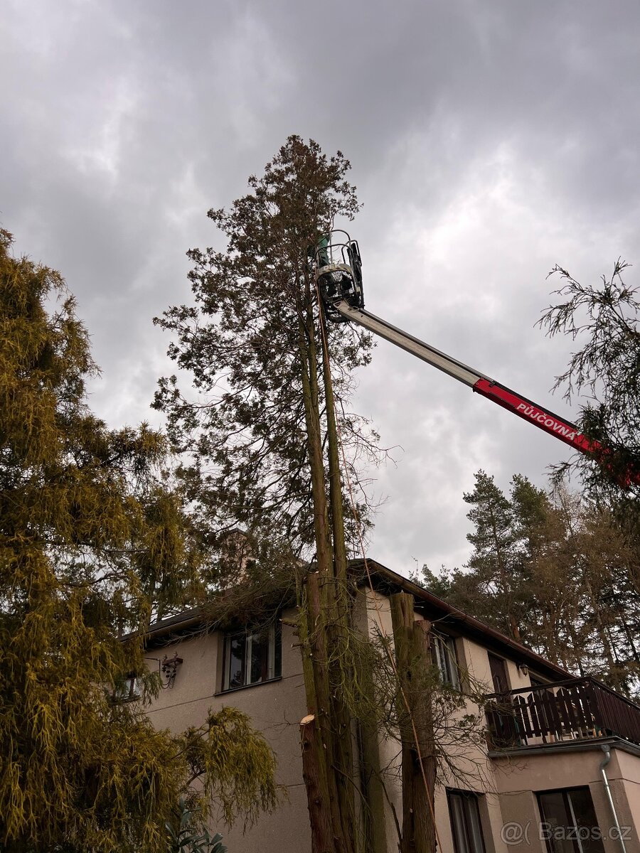 Sekání trávy - 10