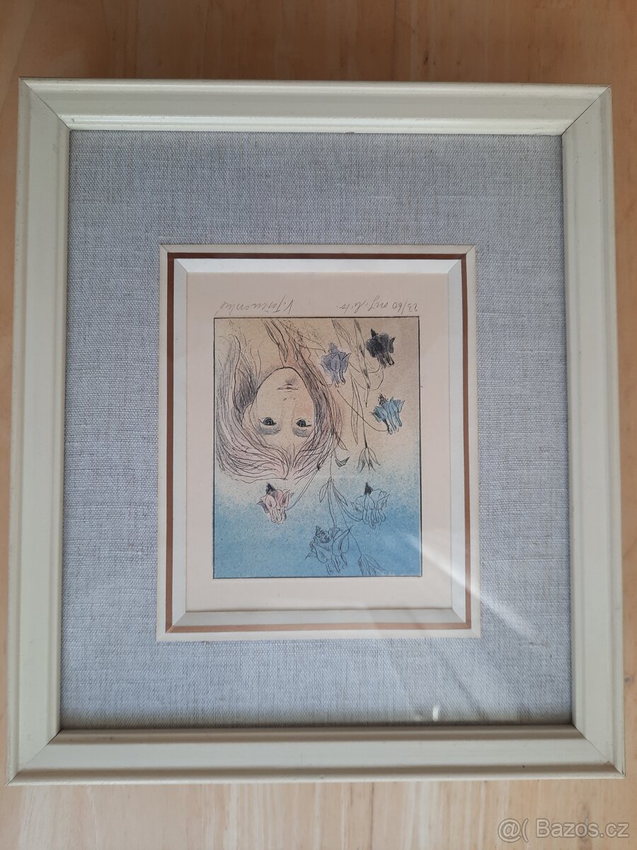 Obrazy Věry Tošenovské - 10