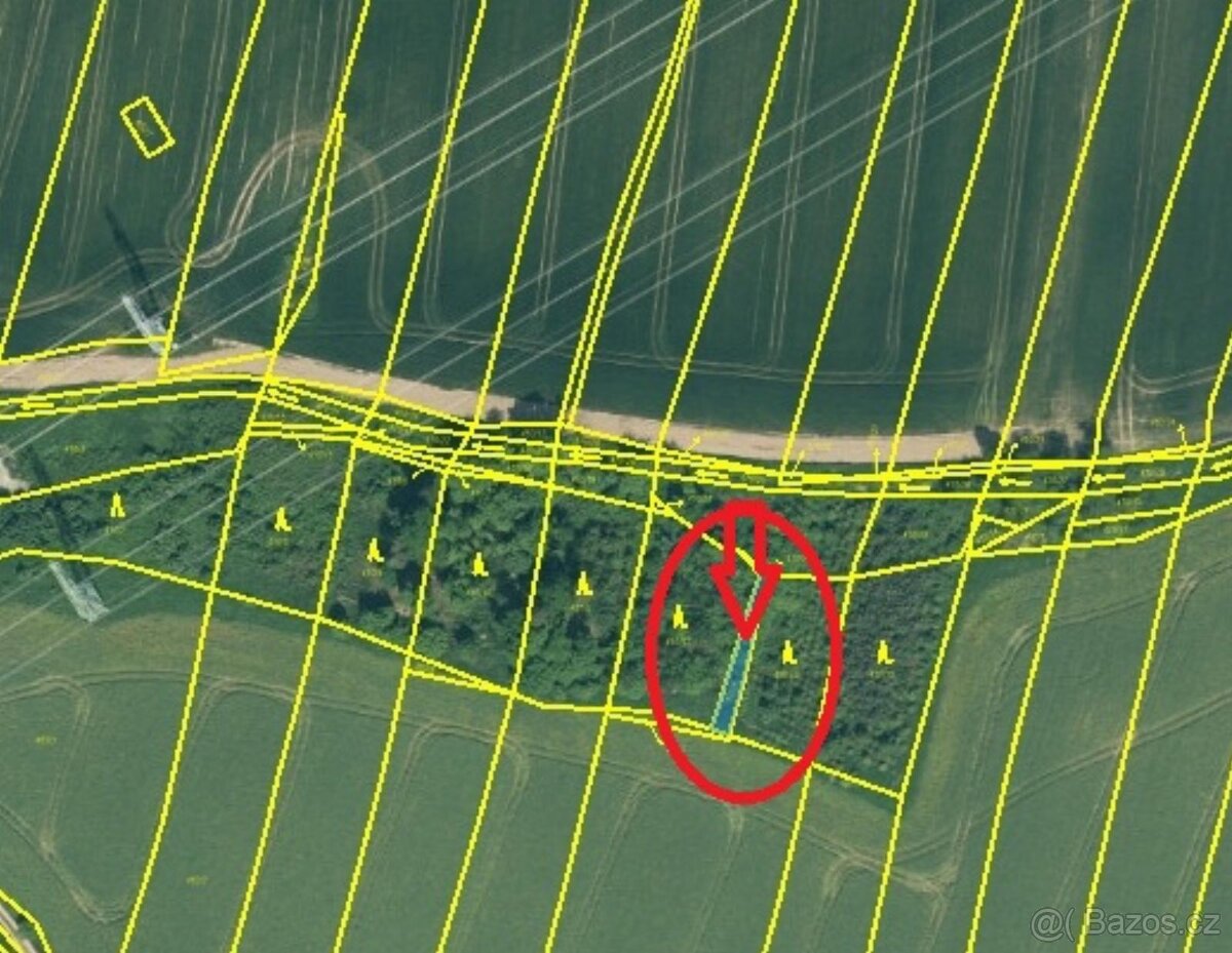 Prodej lesních pozemků v k.ú. Kočín - 10