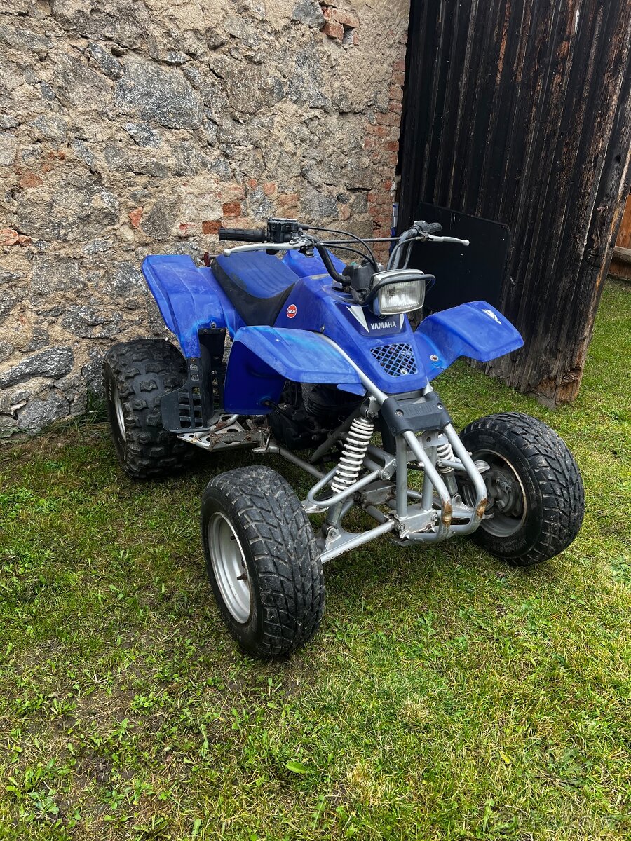 Yamaha Blaster YFS 200 - 10