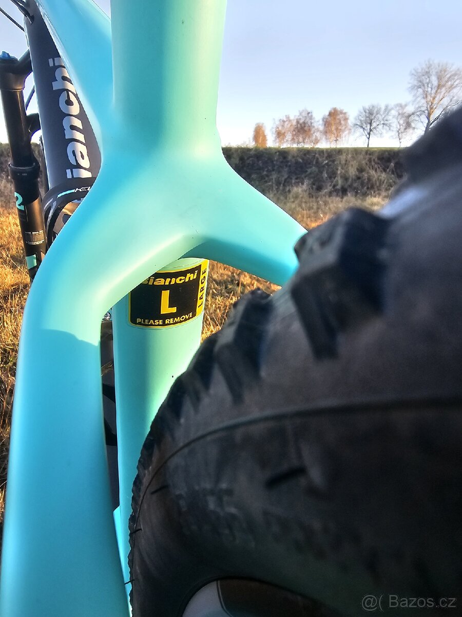 BIANCHI METHANOL CV - 10