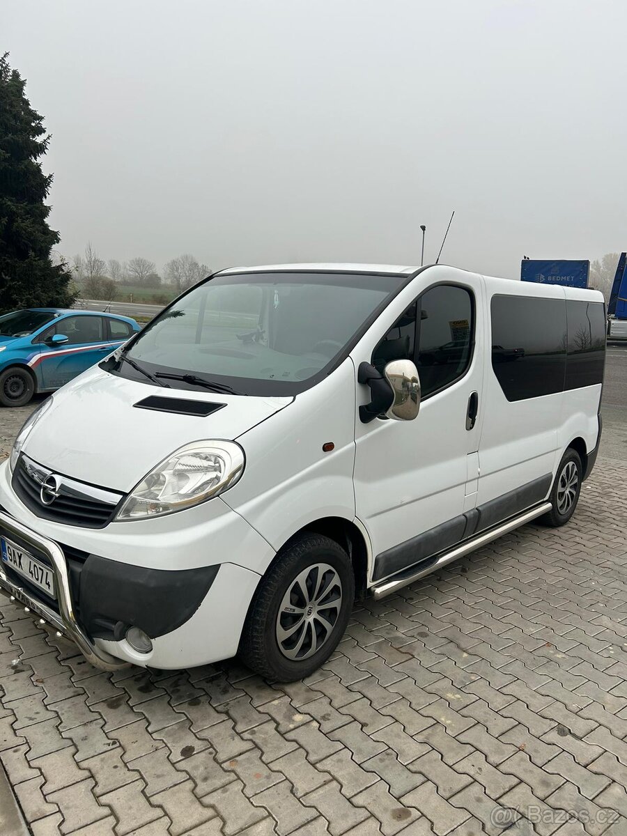 Vivaro - 10