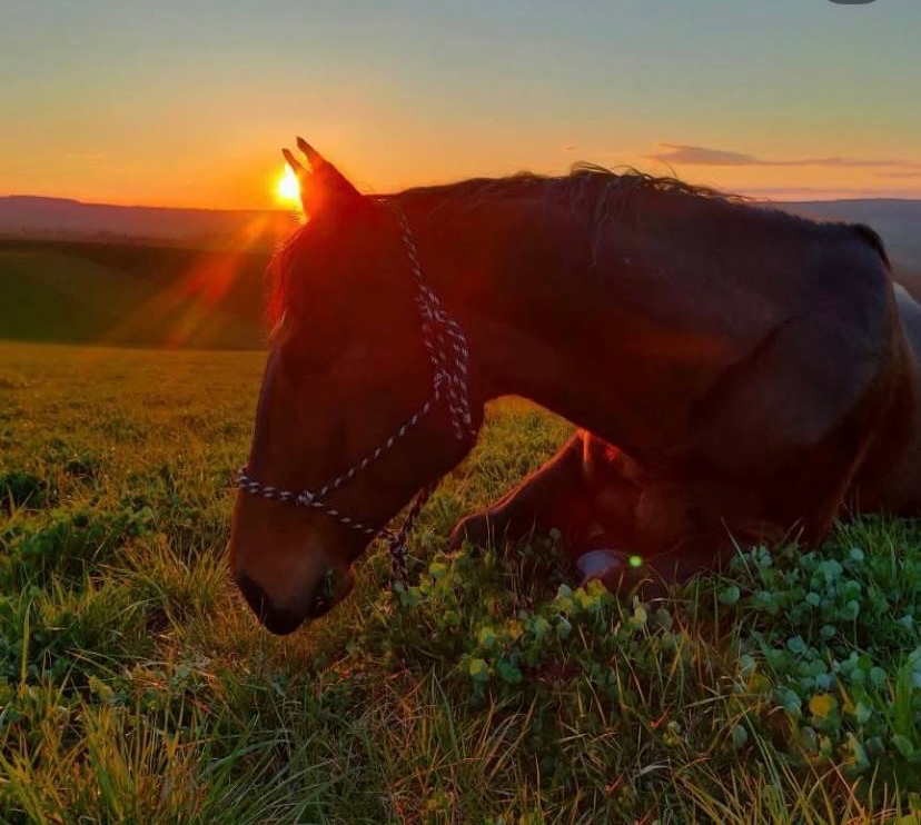 Valach pro vše - 10