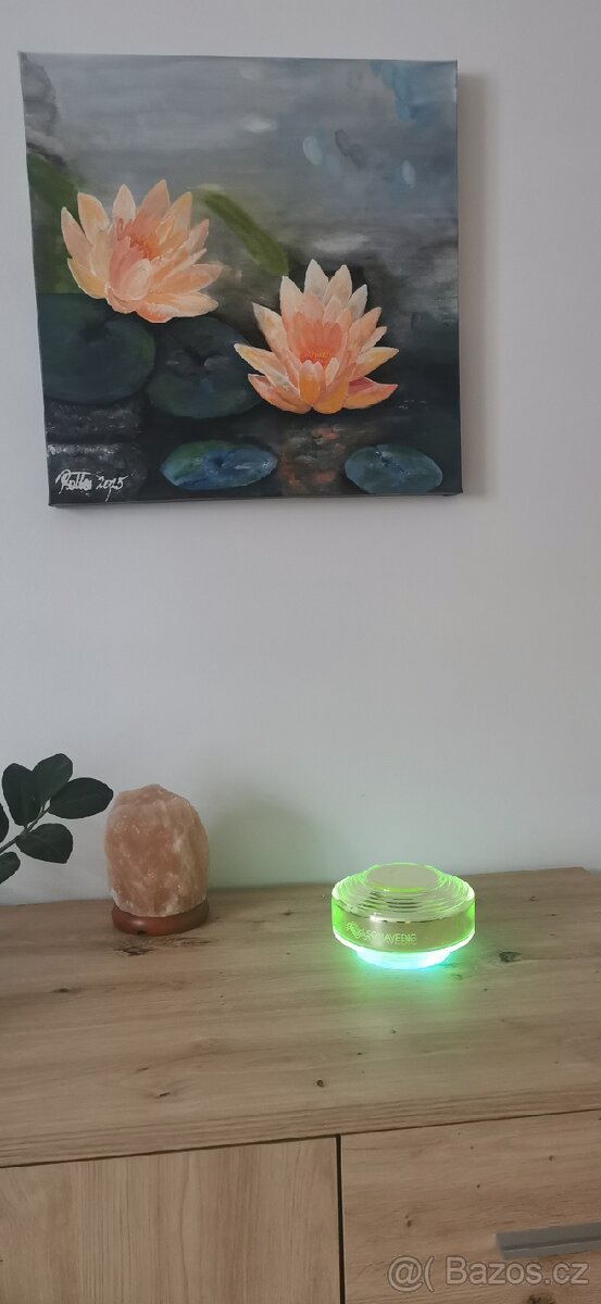 Somavedic Vedic - 10