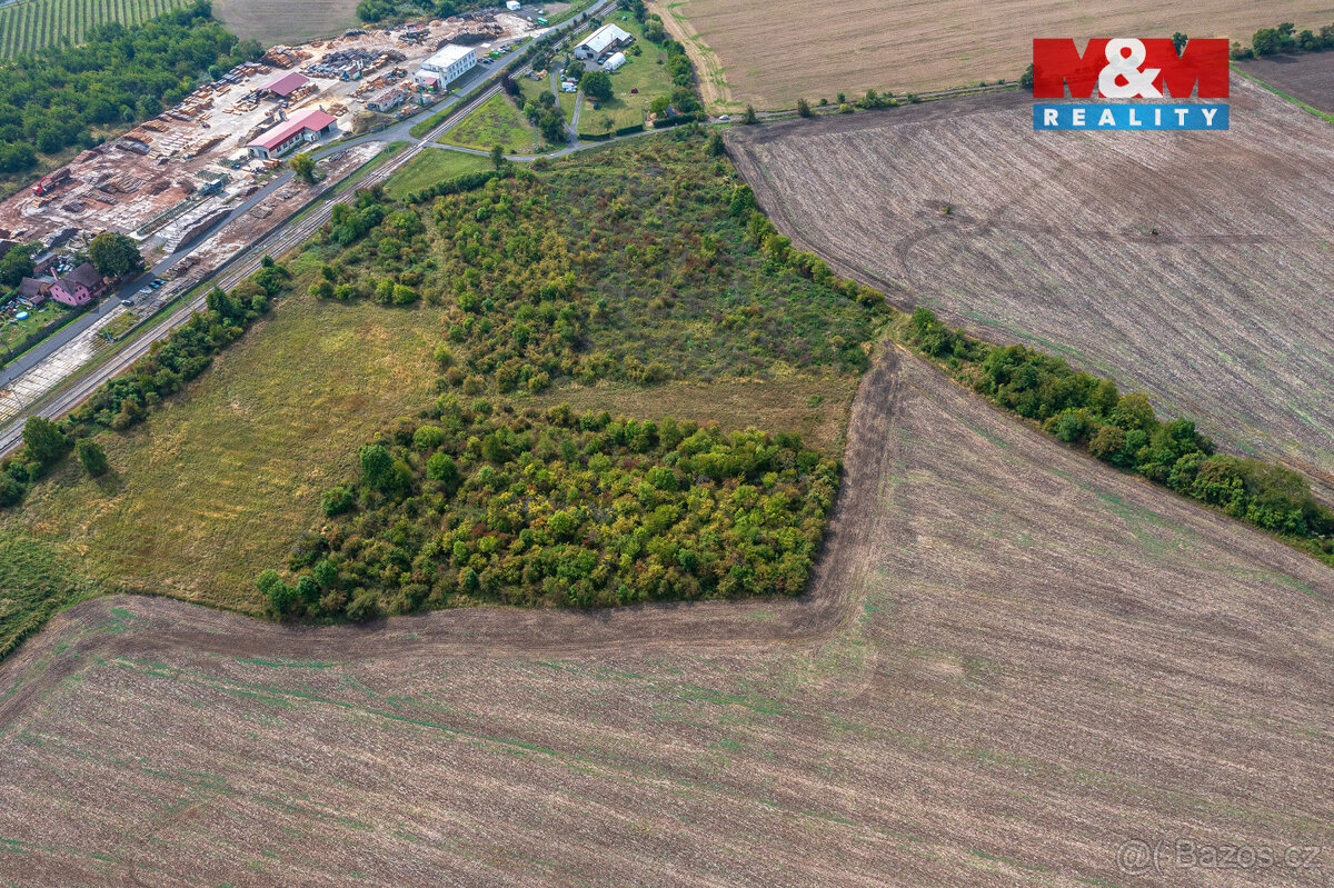 Prodej ovocného sadu, 4549 m², Chotiměř - 10