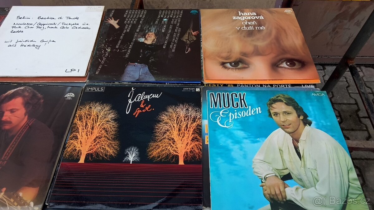 Lp desky různé žánry množství 300 ks. - 10