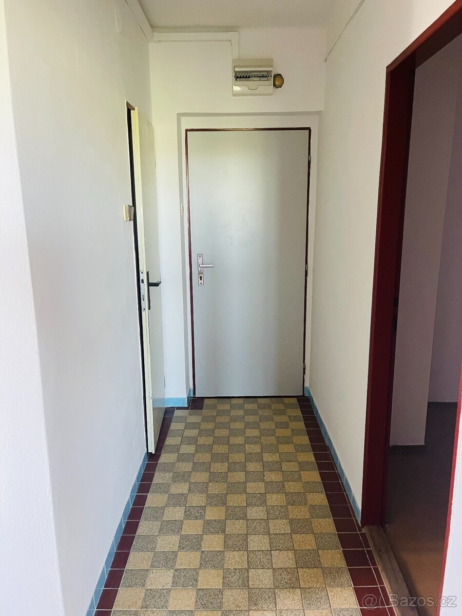 Prodej, byt 2+1, Hromnice - Žichlice, Plzeň - sever - 10