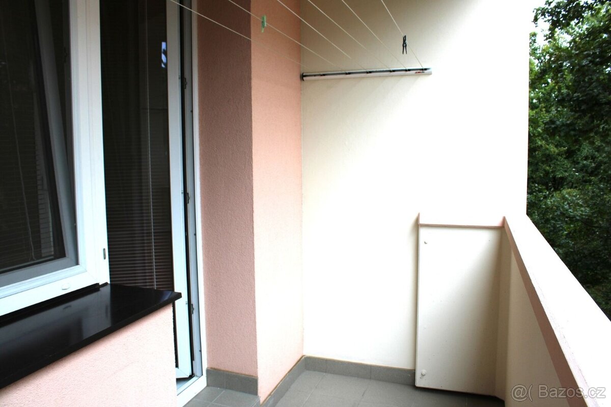 Pronájem bytu 2+1 Louky, Jarošov - 10