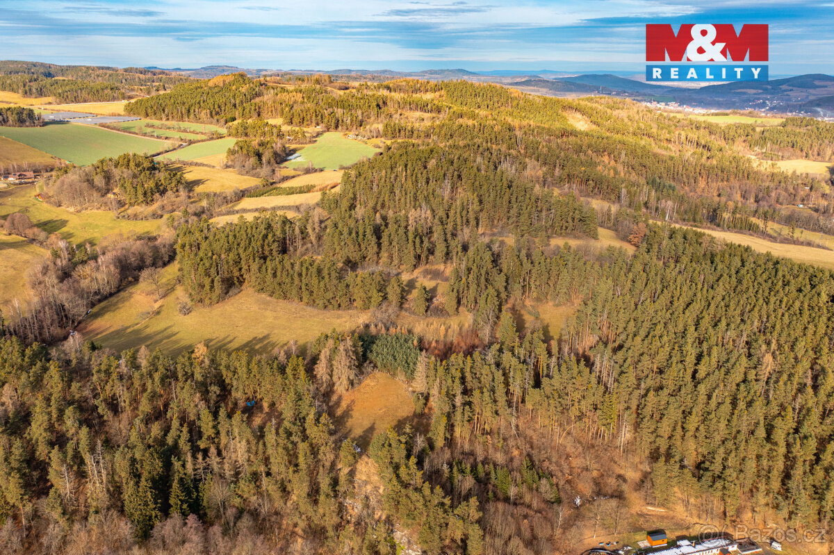 Prodej lesa, 13448 m², Malenice - 10