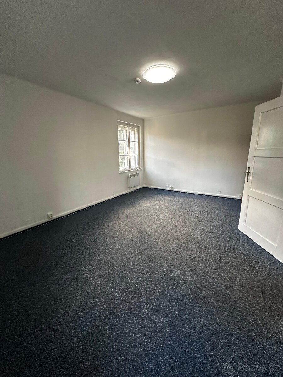 Pronájem bytu 1 + 1 - 10