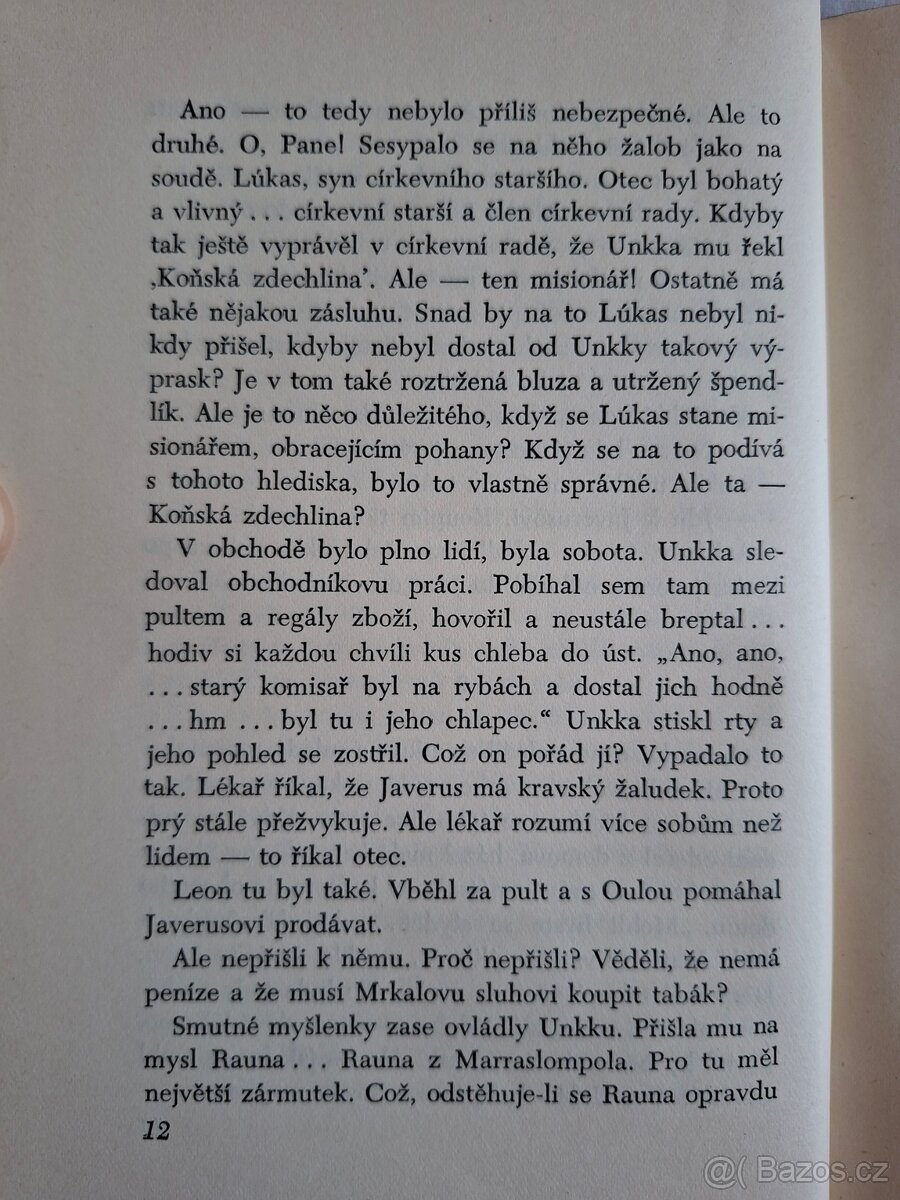 Opuštěná ves - Arvi Järventaus - 10