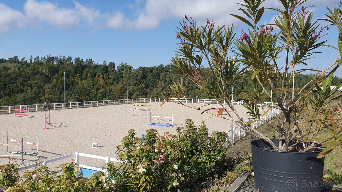 Stájník / stájnice - 10