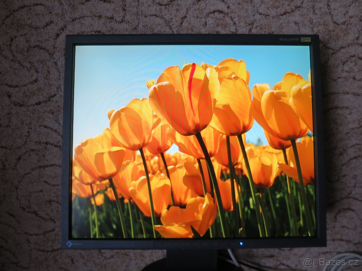 Monitor Eizo FlexScan S1910 - 10