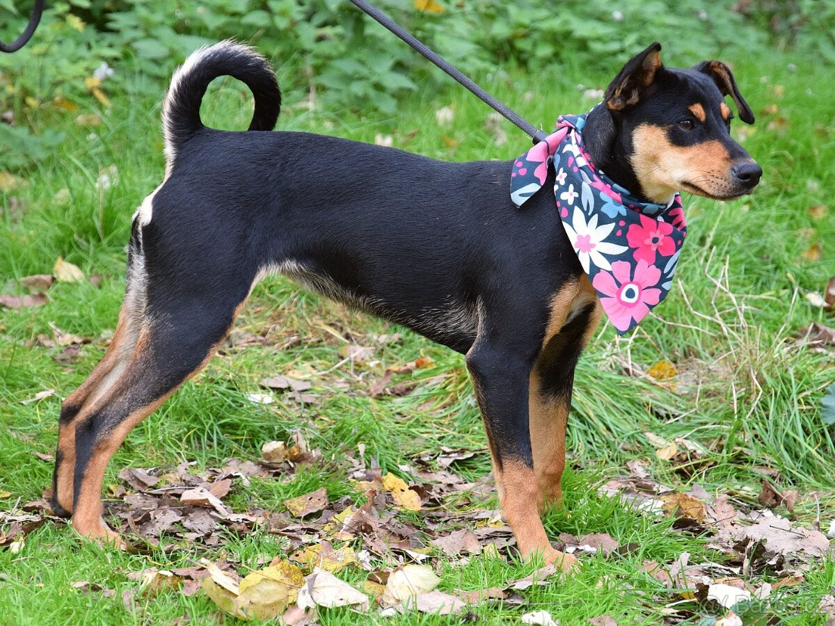 Vitalina rezervace - 10