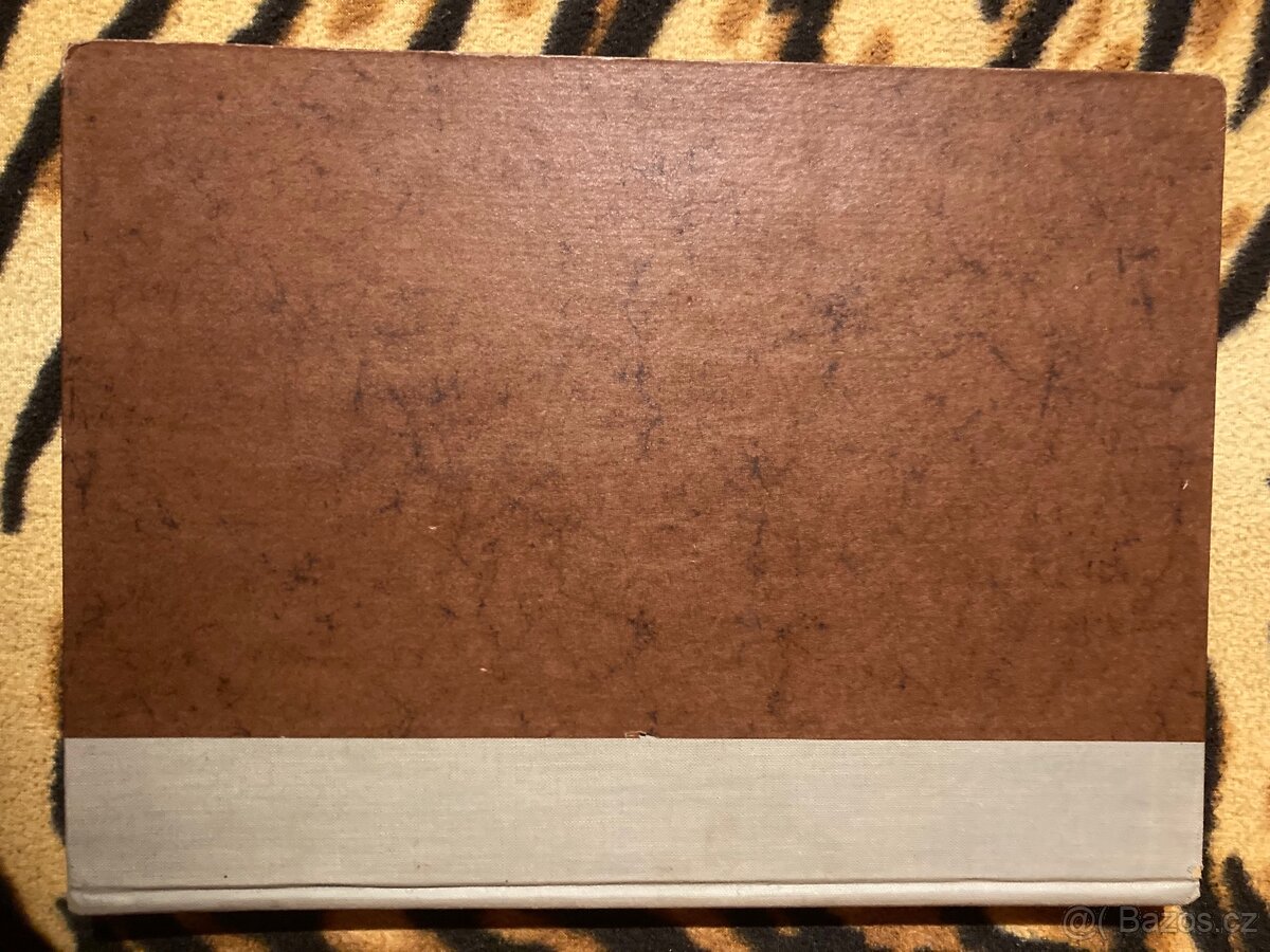 Album A4/16 stran č.48 - 10