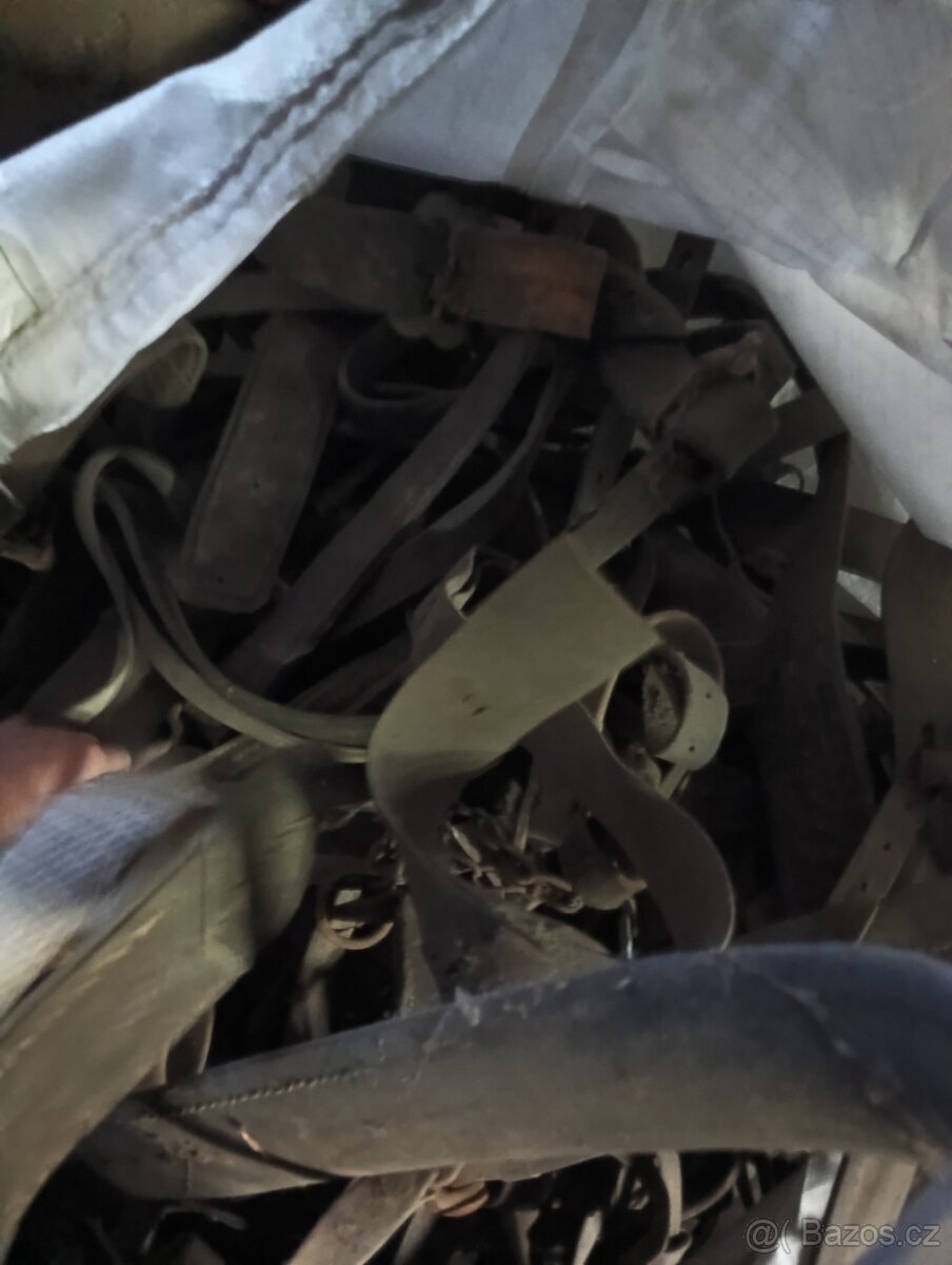 Chomouty ohlávky - 10