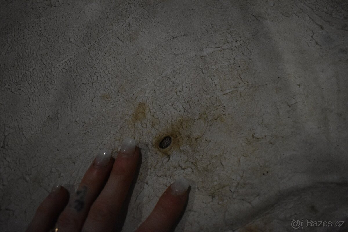 Kožešina daněk 2 - 10