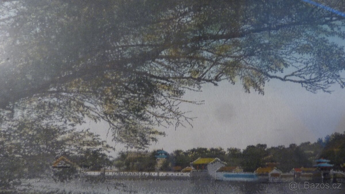 Obrazy ve stříbrném rámu ,vysoký a podélný - 10