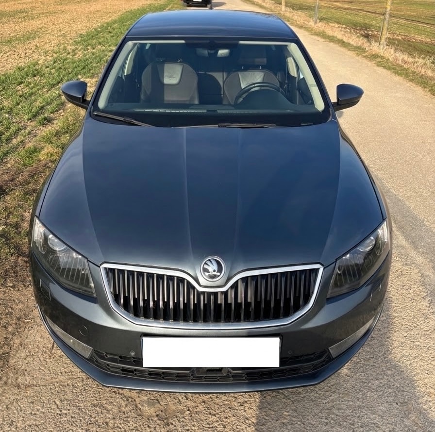 Škoda Octavia III Laurin & Klement 2.0 TDI DSG 4x4 | 2017 | - 10