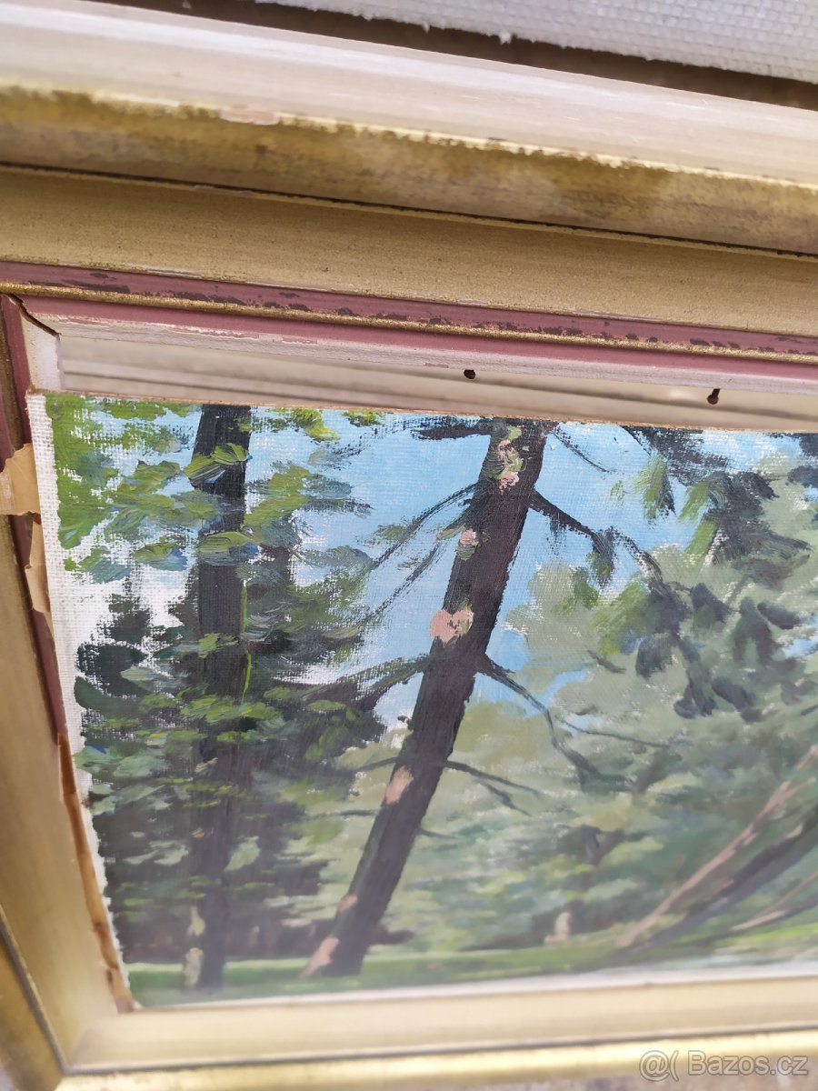 Staré obrazy - 10