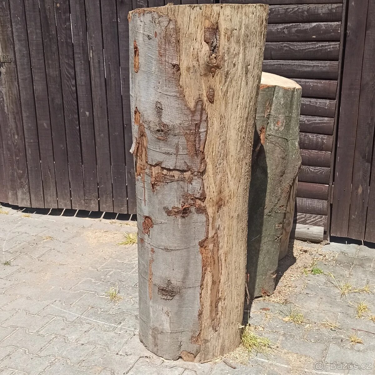 anděl motorovou pilou - 10