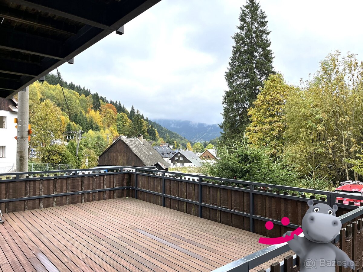 Prodej bytu 1kk + terasa, parkování, 40 m², Ostružná - Petří - 10