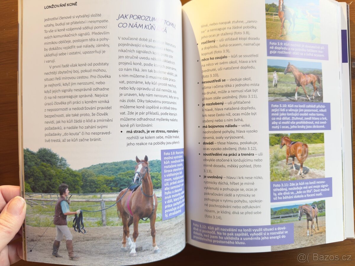 Jezdecké knihy Ingrid Klimke - 10