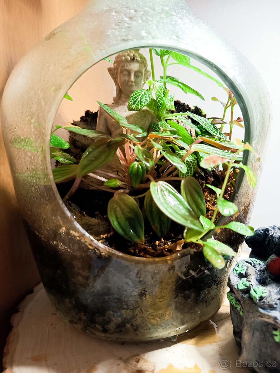 Prodej krevetek a doplňků - 10