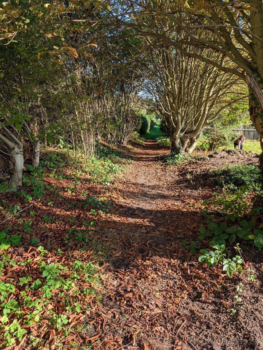 Stavební parcela Jenišovice 1293 m2 - 10