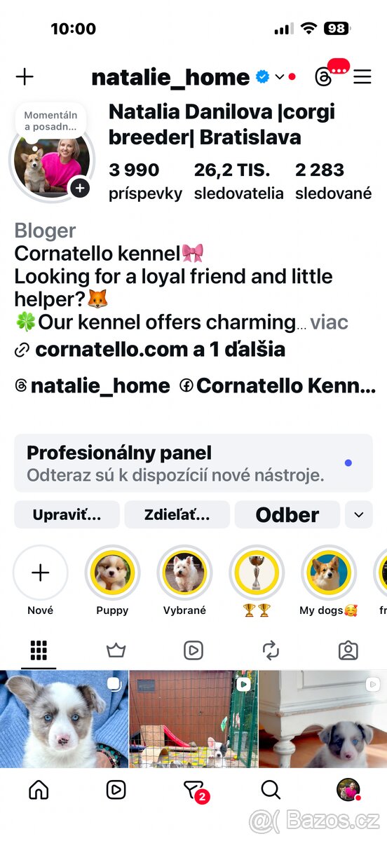 Corgi steniatka s PP. - 10