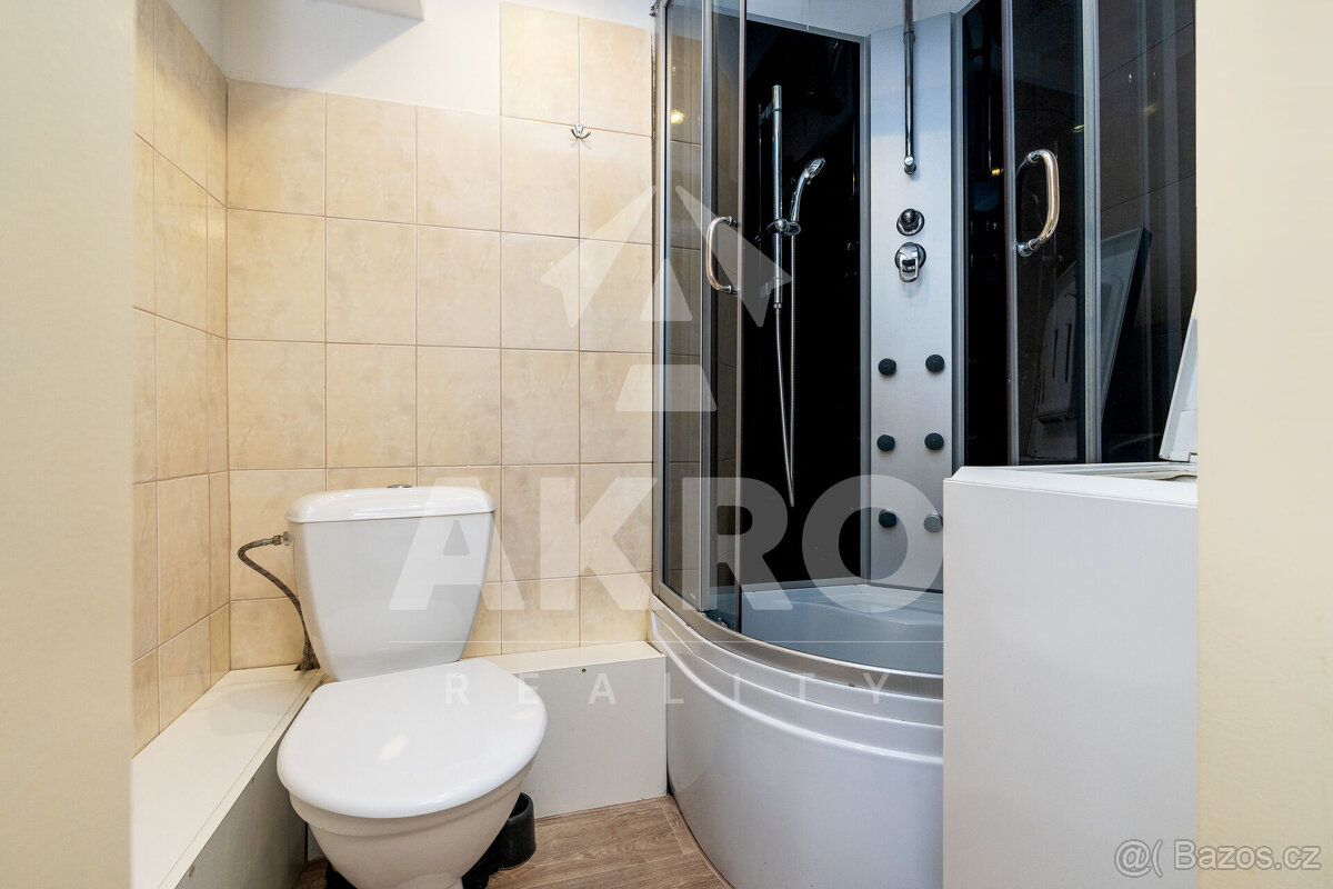 Pronájem nebytového prostoru Praha 4 Kamýk Zdislavická - 10