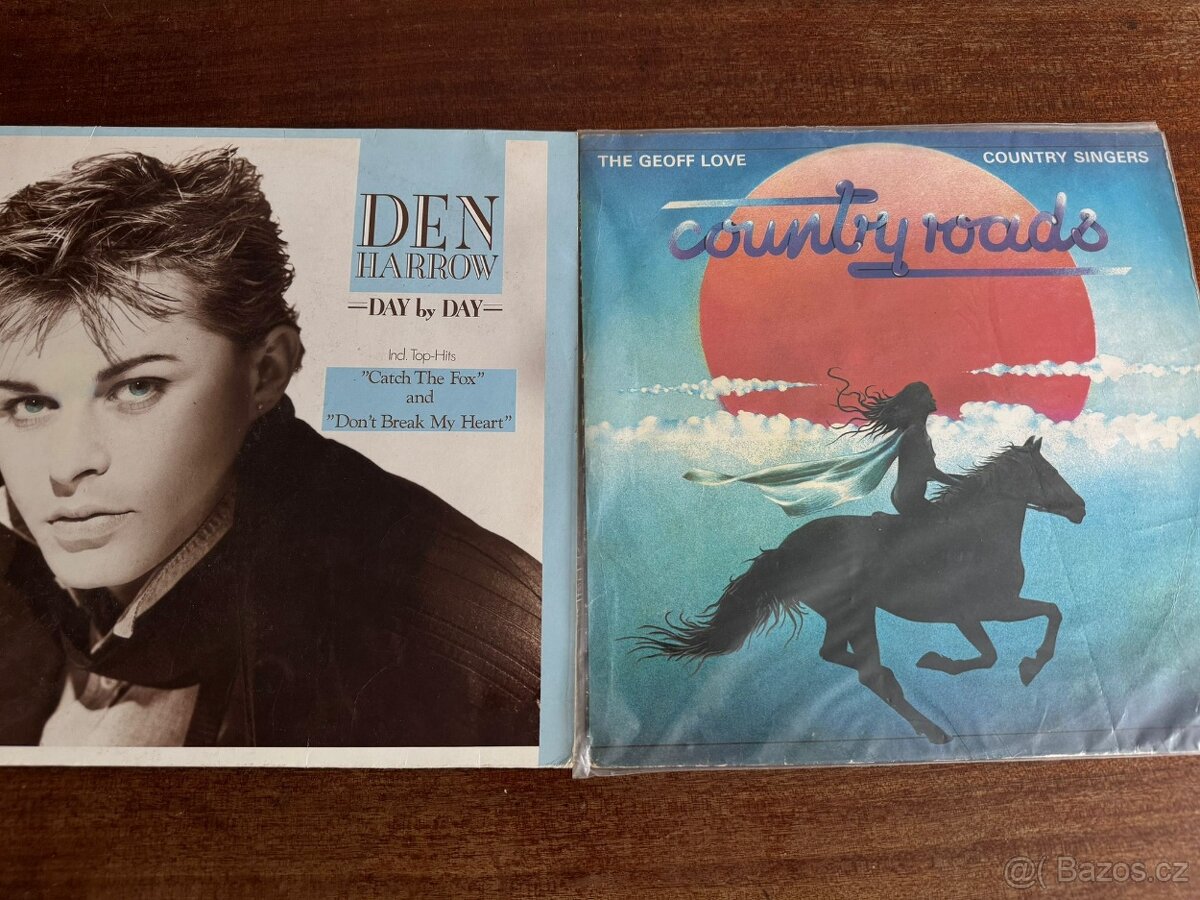 Gramofonové desky - 10