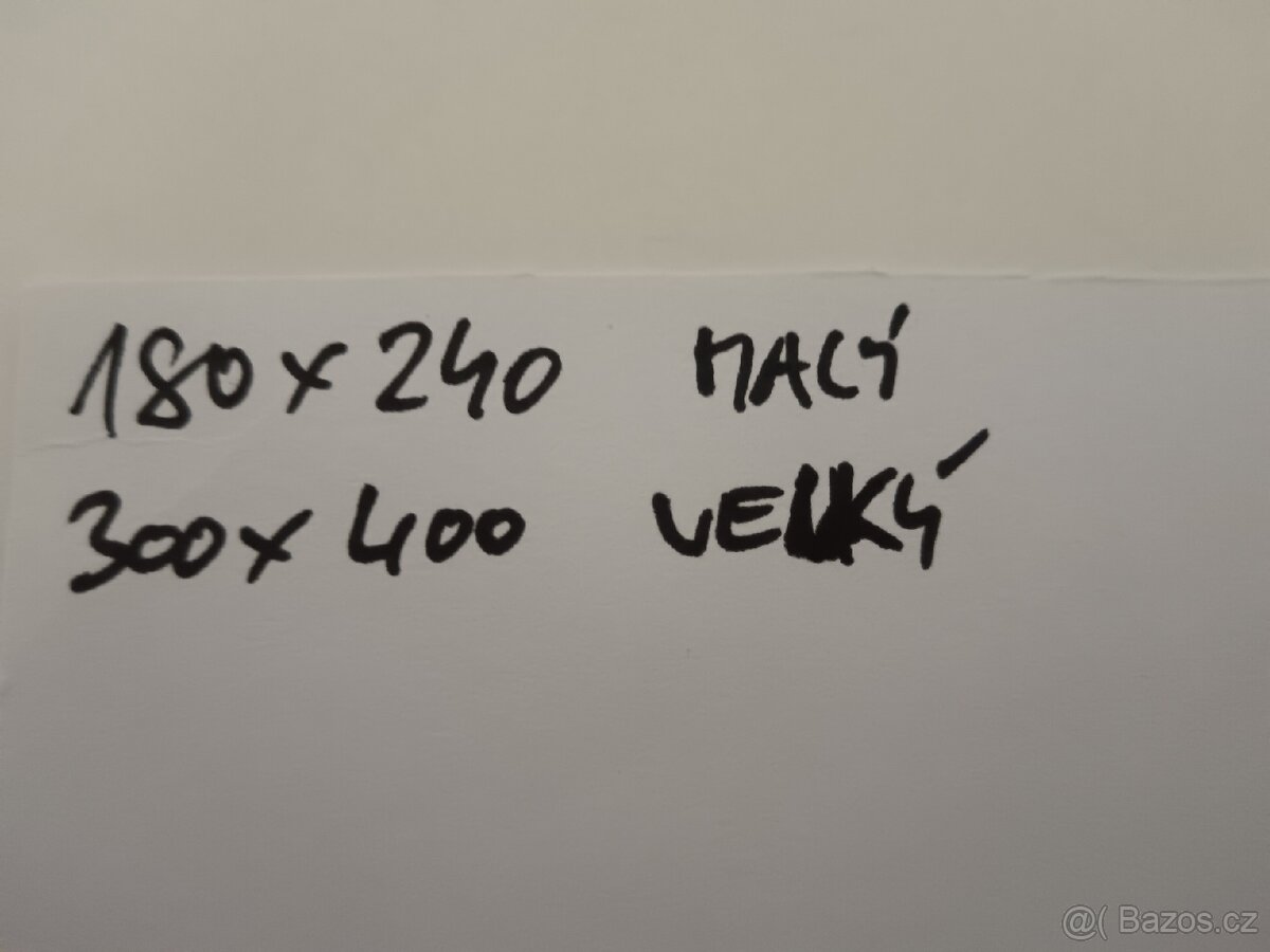 Obrazy 2025 - 10