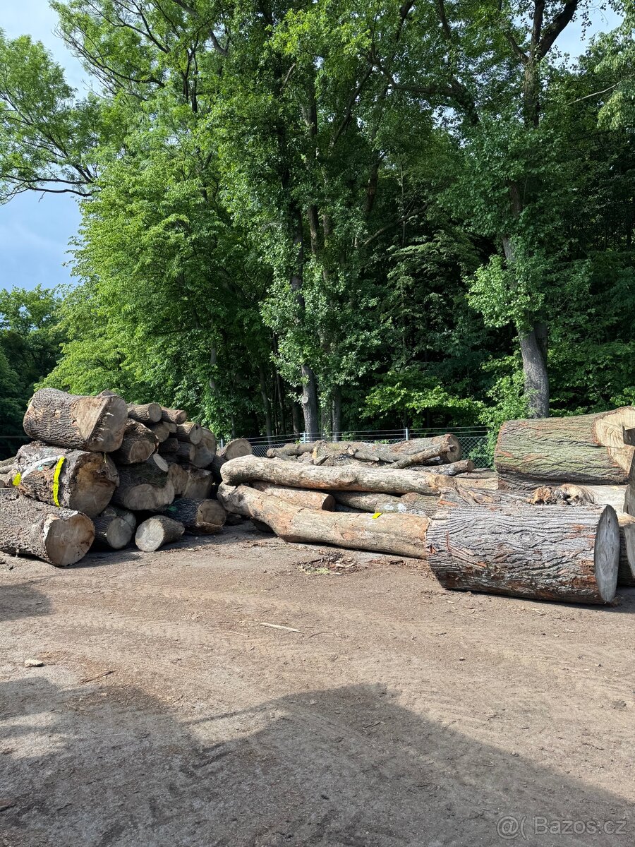 Prodej štípaného dřeva nebo kulatina - 10