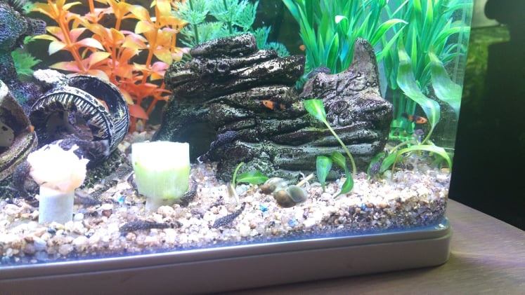 Mini akvárium Nobleza 7 l, bílé, LED - 10