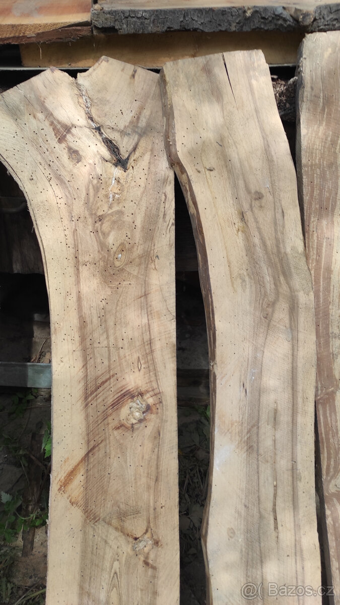 Staré suché listnaté dřevo - 10