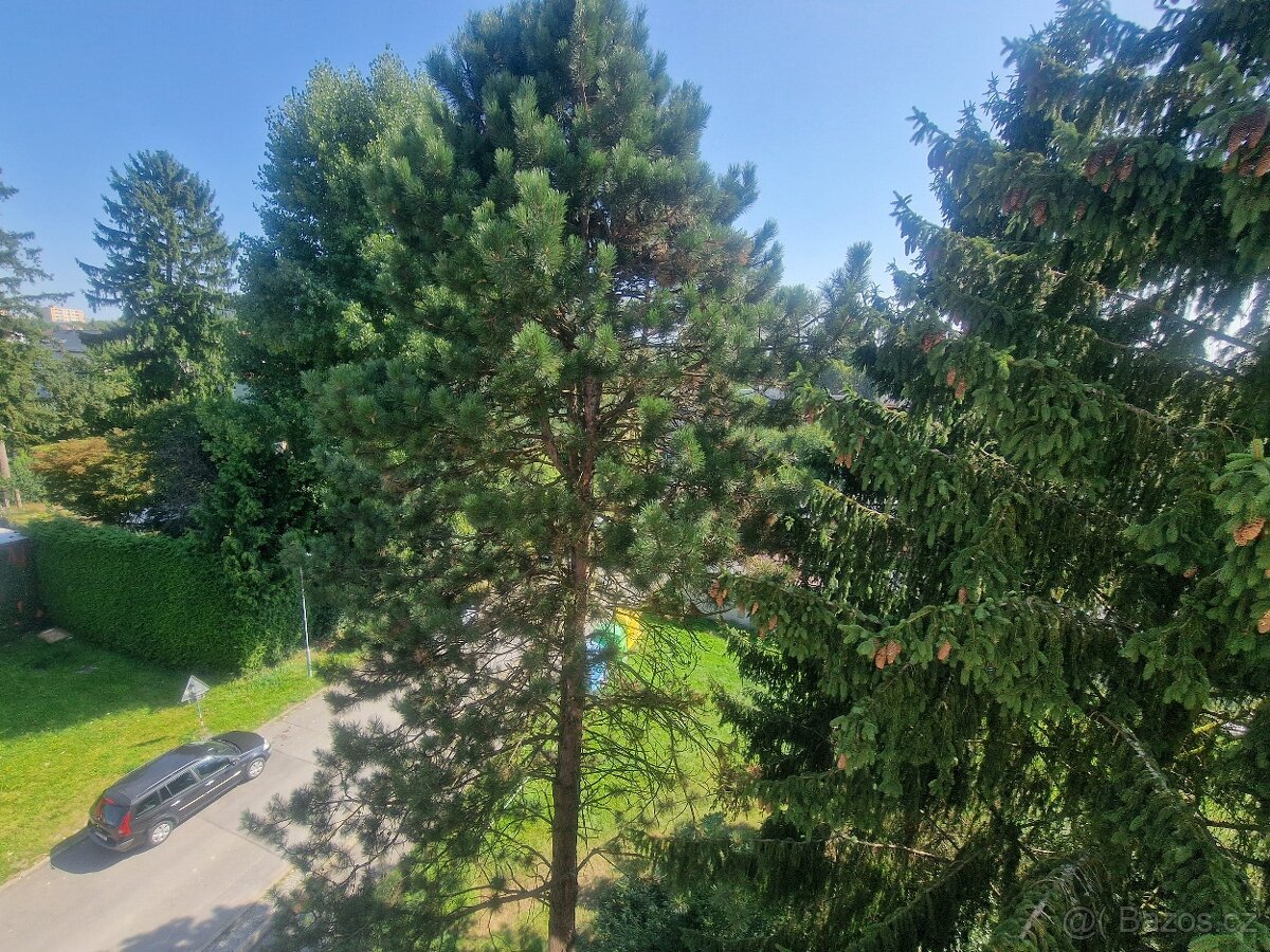 Pronájem hezkého bytu 2+1, 52m² – Česká Lípa, Slovanka - 10