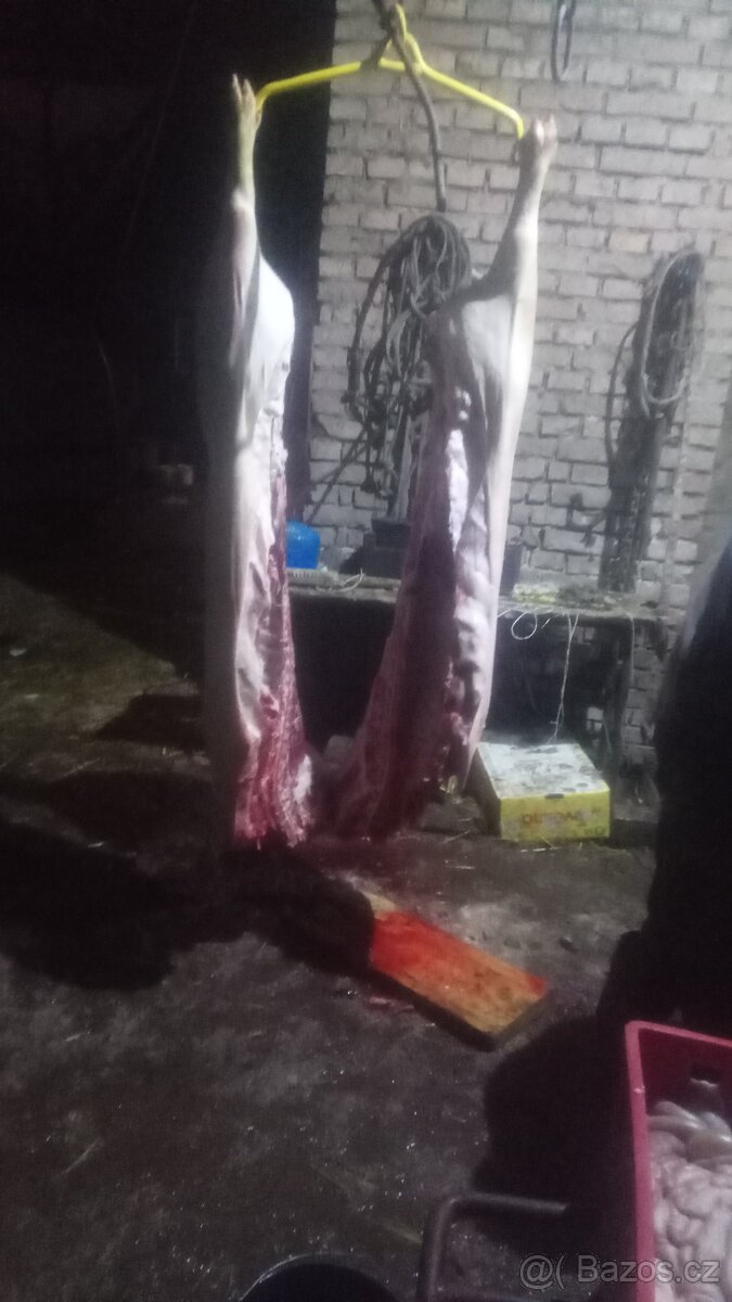 selata a prasata - 10