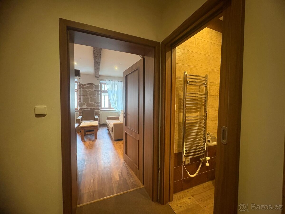 Pronájem bytu 2kk, vybavený, Plzeň - Roudná - 10
