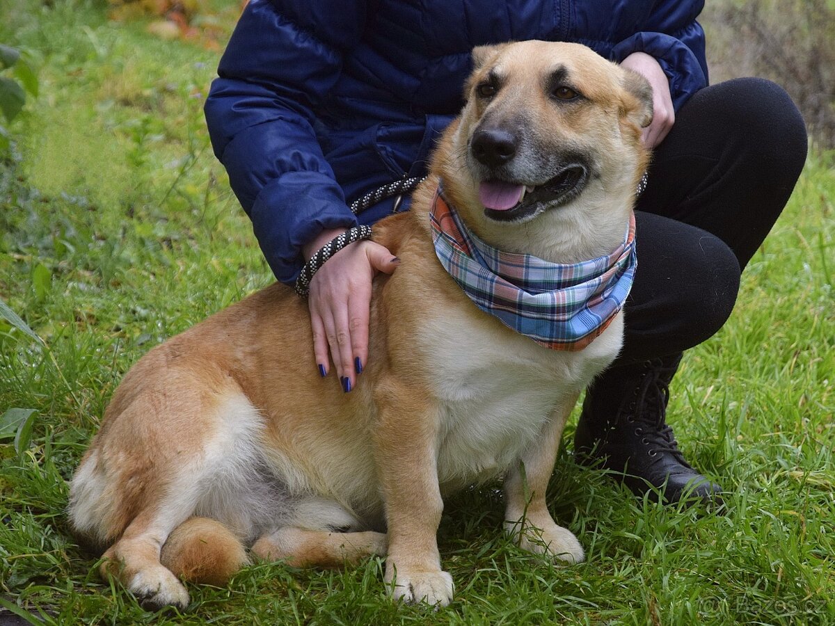 Odin hledá domov - 10