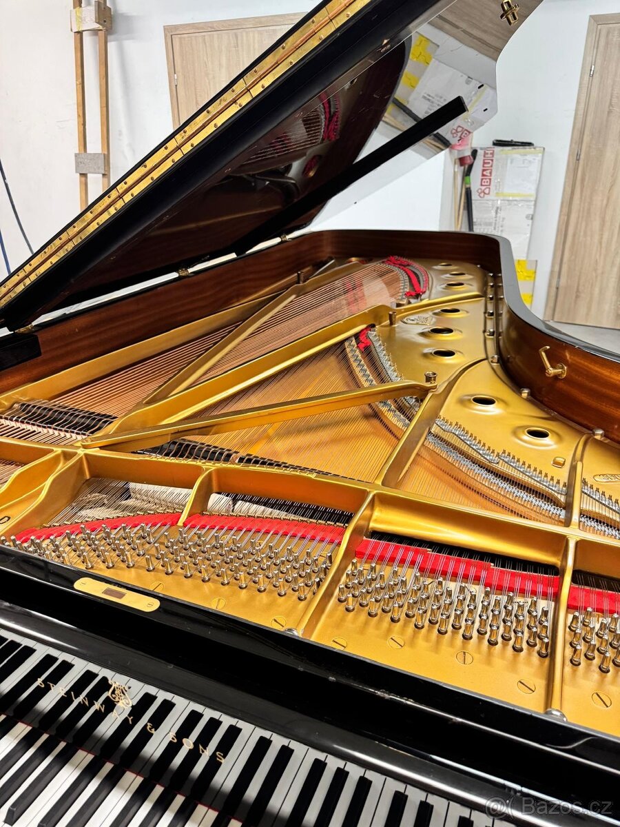 Steinway & Sons Modell D- 274 cm Only now super price - 10