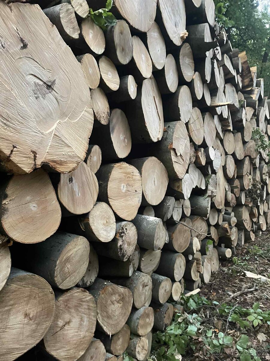 Palivové dřevo přímo pro Vás – od 900 Kč - 10