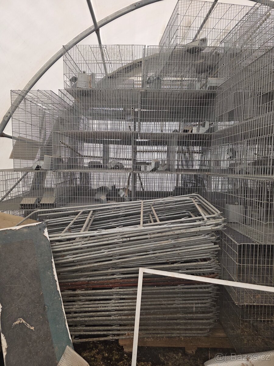 Kotce pro kraliky - 10