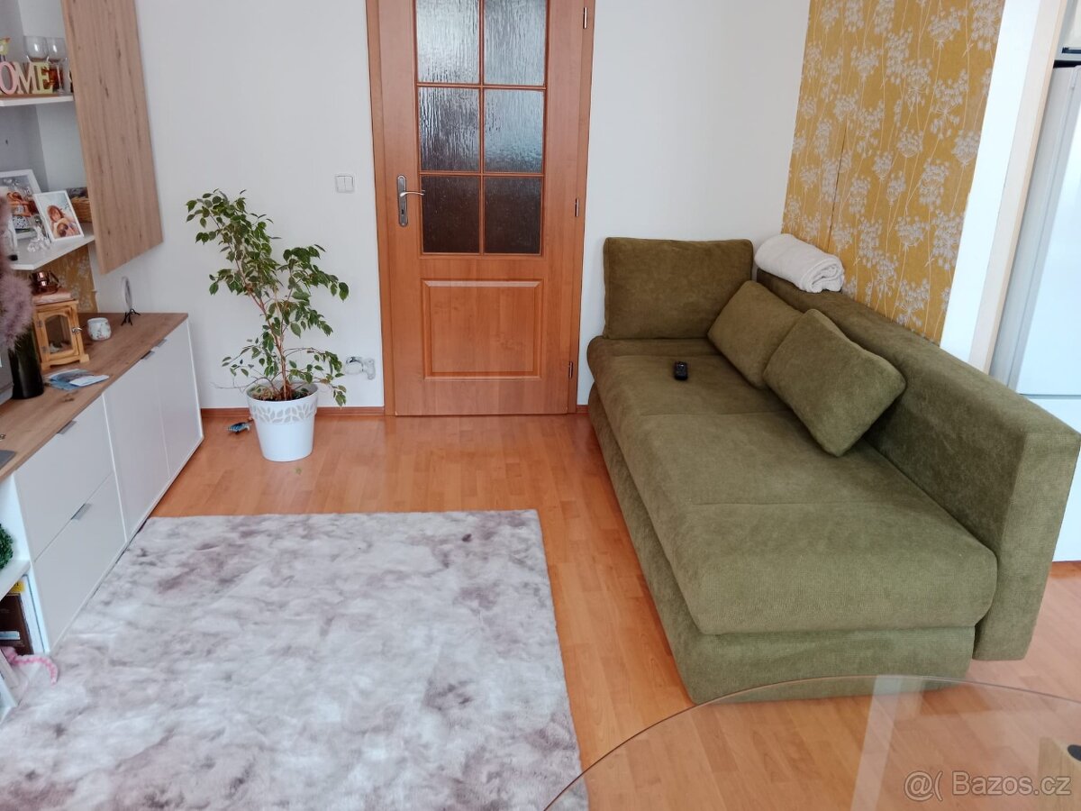 Pronajmu byt 2kk v Plzni - 10
