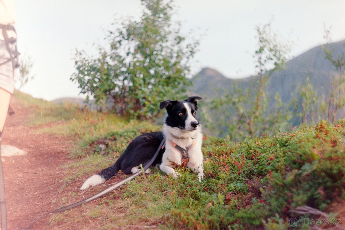 Zenit EM + Helios 58 mm f/2 + redukce na Canon EF - 10