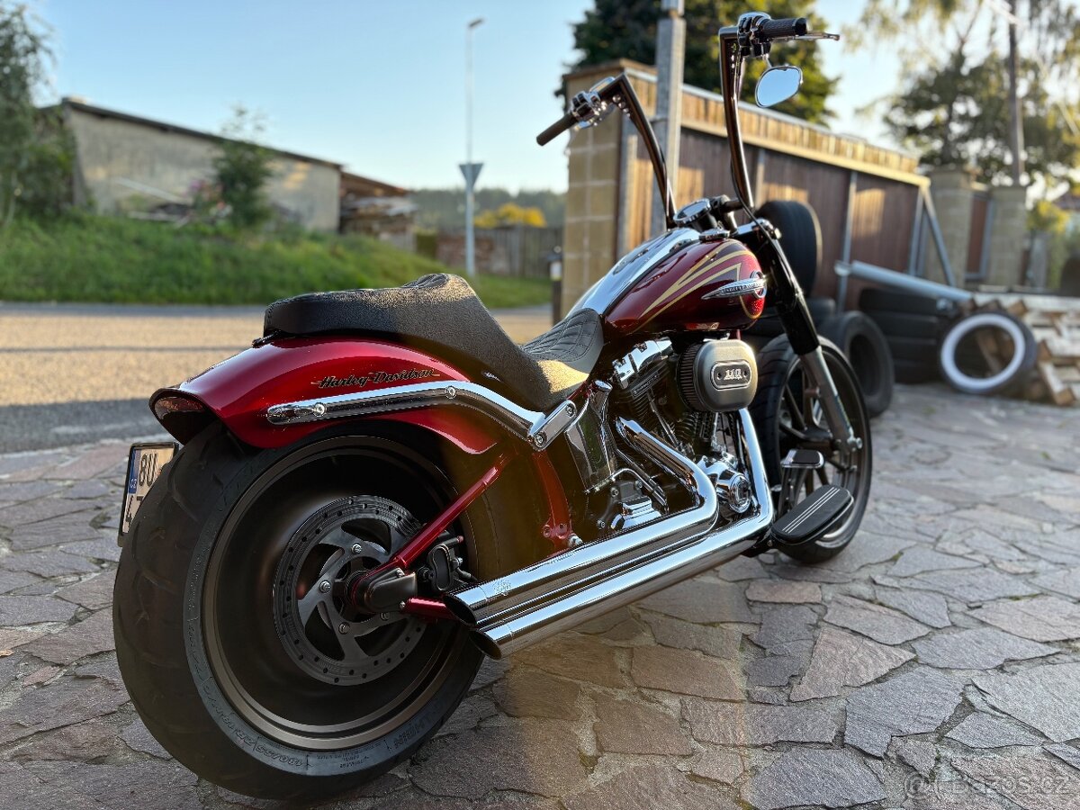 Harley Davidson FLSTNSE CVO - 10
