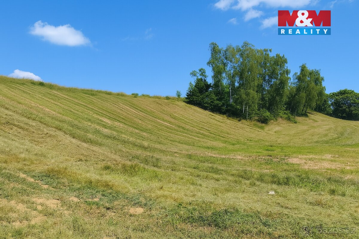 Prodej ideální 1/2 souboru pozemků ve Svijanském Újezdu - 10