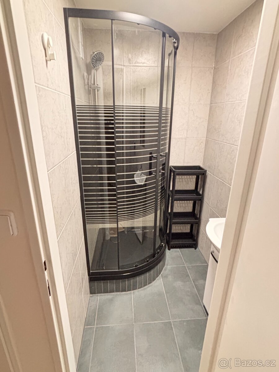 Pronájem bytu Tachov - 10