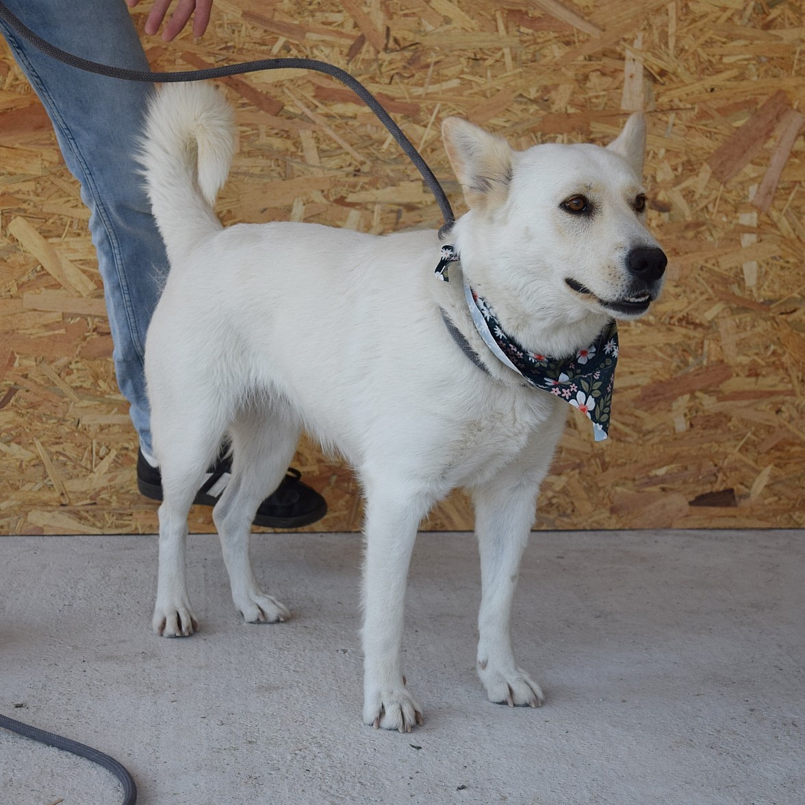 🌸 Zaira – veselá parťačka do života 🌸 - 10