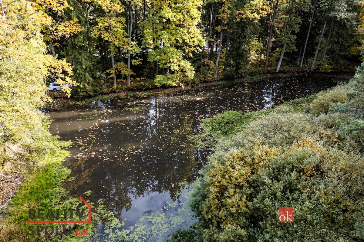 Prodej, pozemky/rybník, 64790 m2, Žíteč, Chlum u Třeboně, Ji - 10